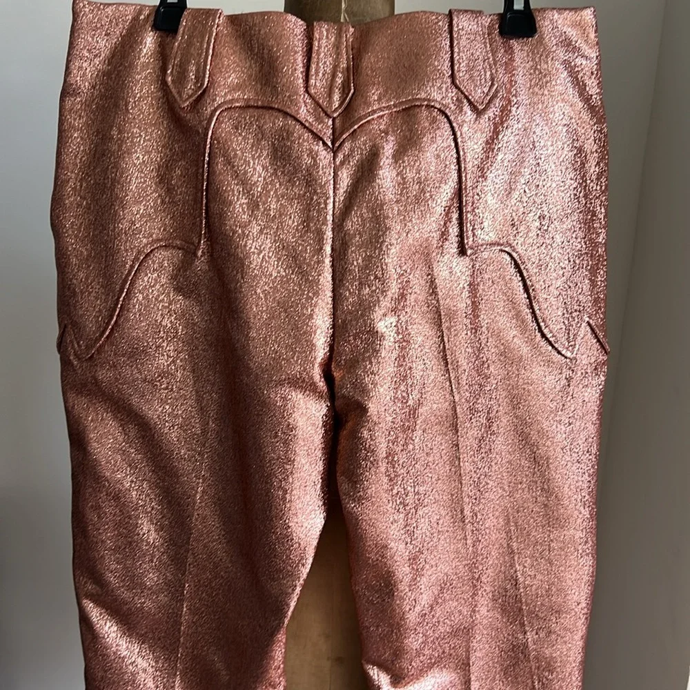 Tom Ford Iridescent Cowboy Cowgirl Western Pants Rodeo Rockabilly - Picture 9 of 17